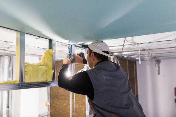 Best Geographic-Specific Insulation Services in Mono Vista, CA