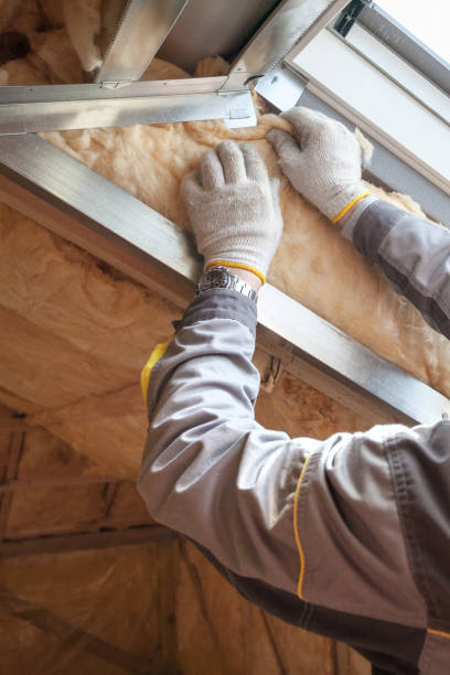 Best Residential Insulation in Mono Vista, CA