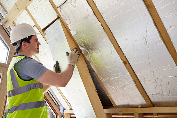 Types of Insulation We Offer in Mono Vista, CA