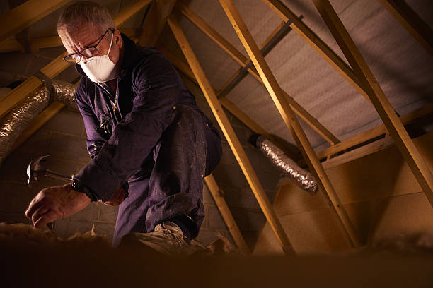 Best DIY Insulation Kits and Guidance in Mono Vista, CA